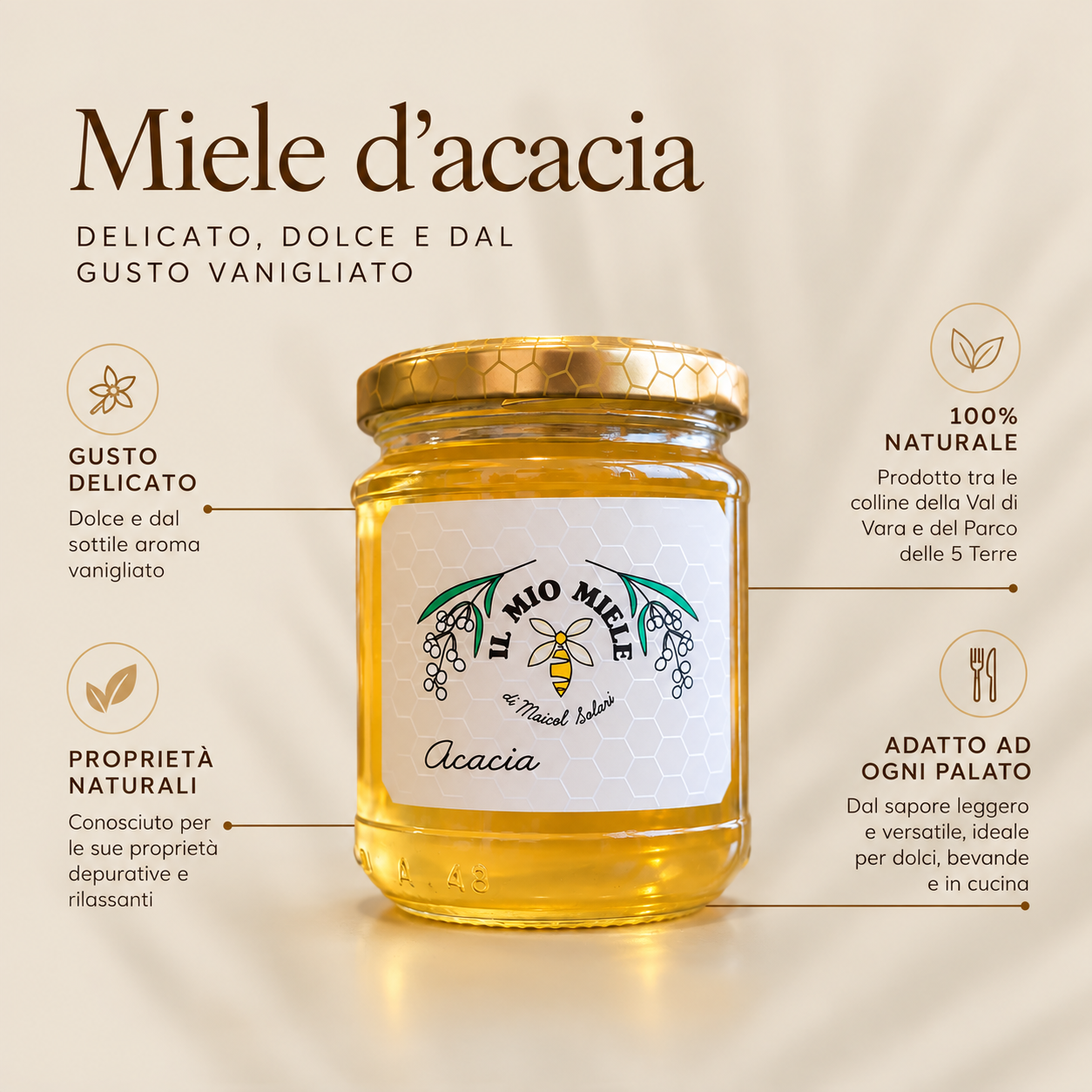 acacia-descrizione