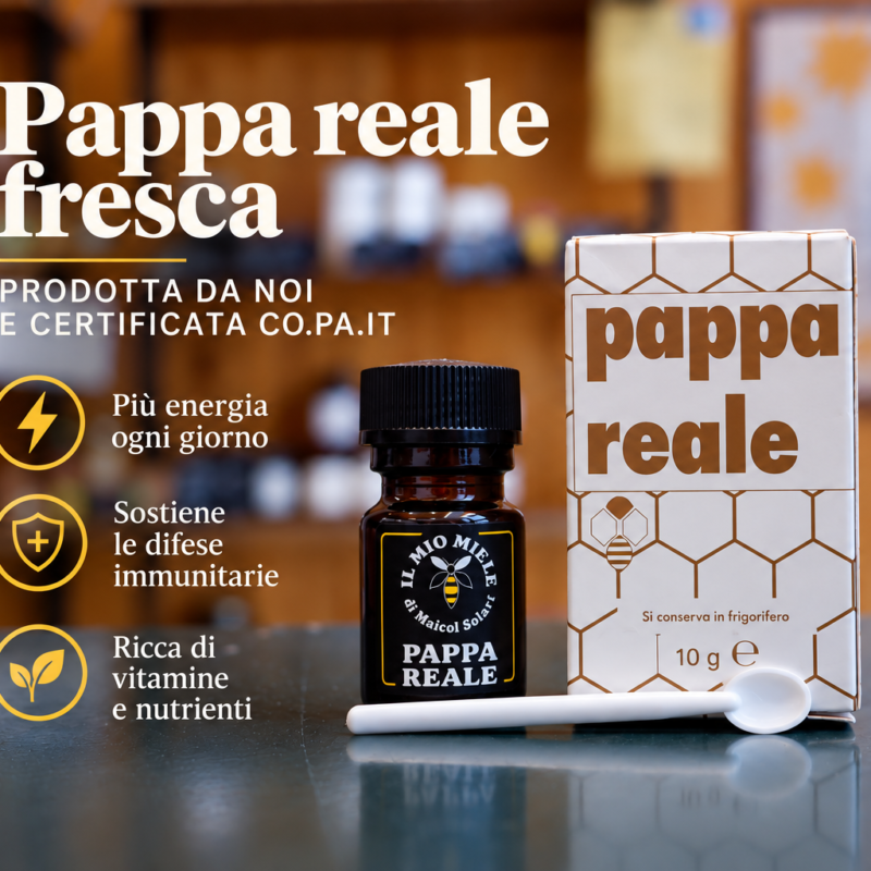pappa-reale-vasetto