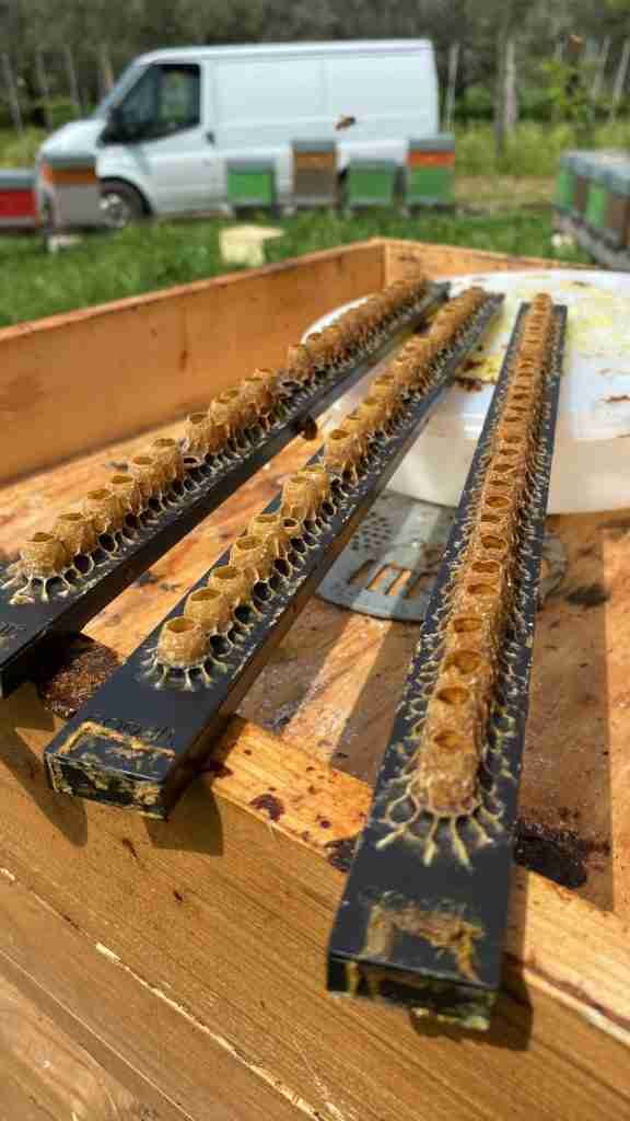 514649ED-E637-4499-8214-DBF7F803E39F