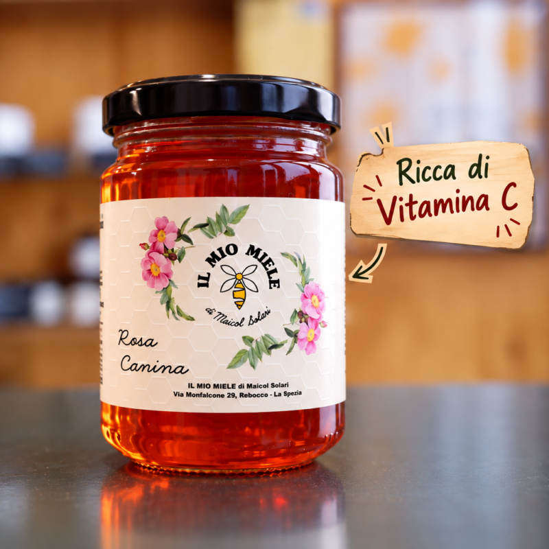 rosa-canina